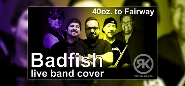 Badfish (Sublime cover by Rob Kosinski)
